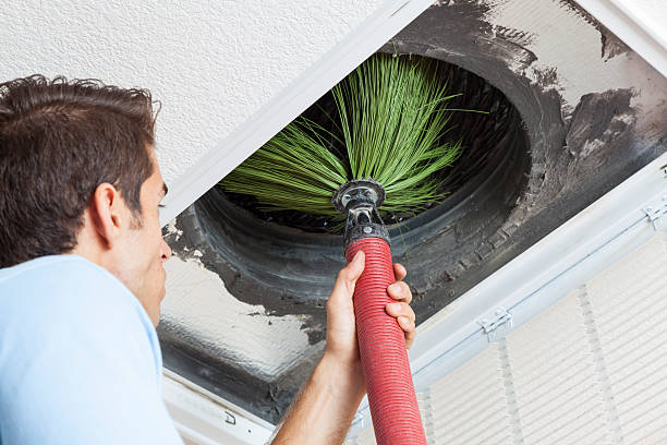 Best Ventilation System Cleaning in Bisbee, AZ